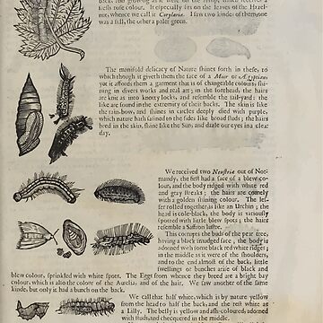 Vorschaubild zum Design The History of Four Footed Beasts Serpents and Insects 202 von wetdryvac
