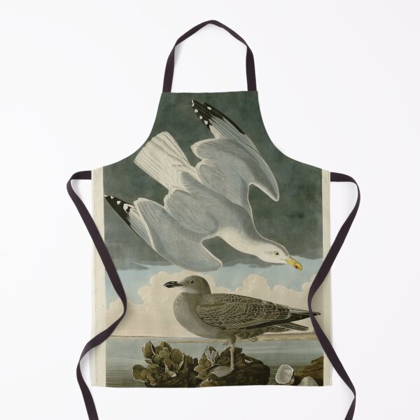 Item preview, 291 Herring Gull designed and sold by Bird-Lore.