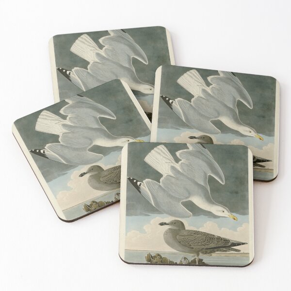 Item preview, 291 Herring Gull designed and sold by Bird-Lore.