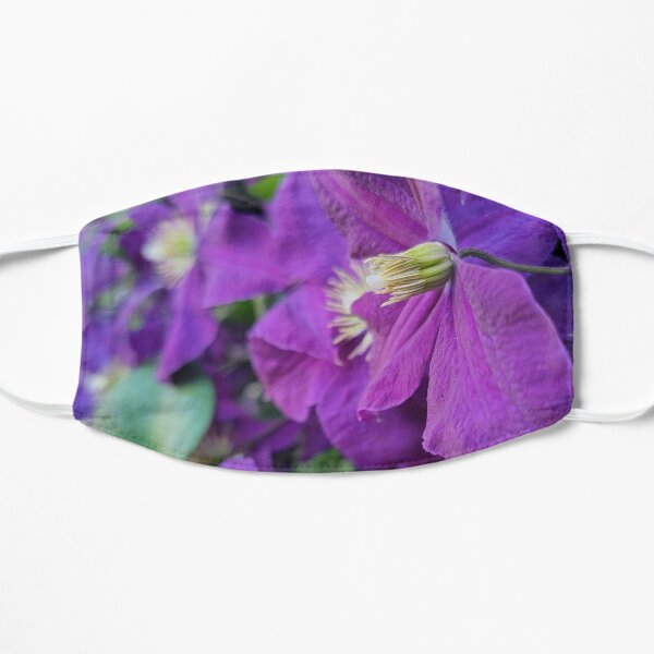 Happy Jack Purple Clematis Flat Mask