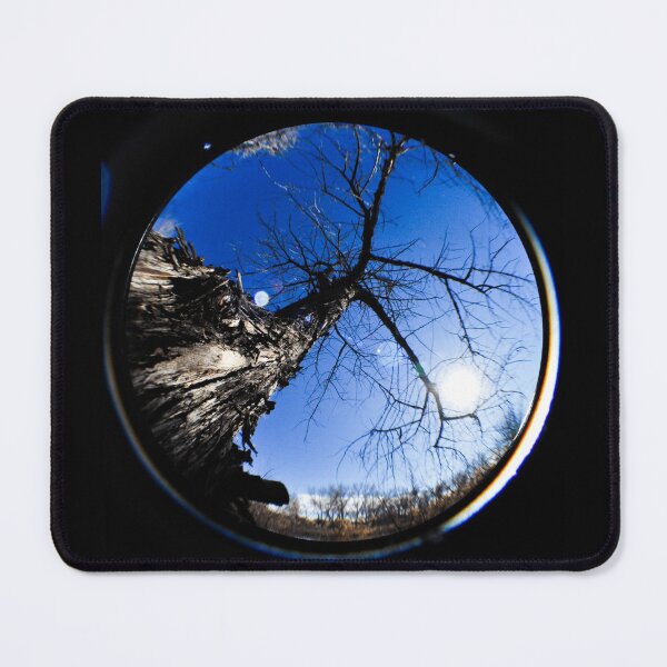 Item preview, Tall Tree Through A Fisheye Lens designed and sold by MissJades.