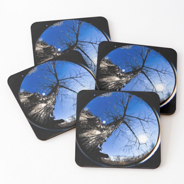 Item preview, Tall Tree Through A Fisheye Lens designed and sold by MissJades.
