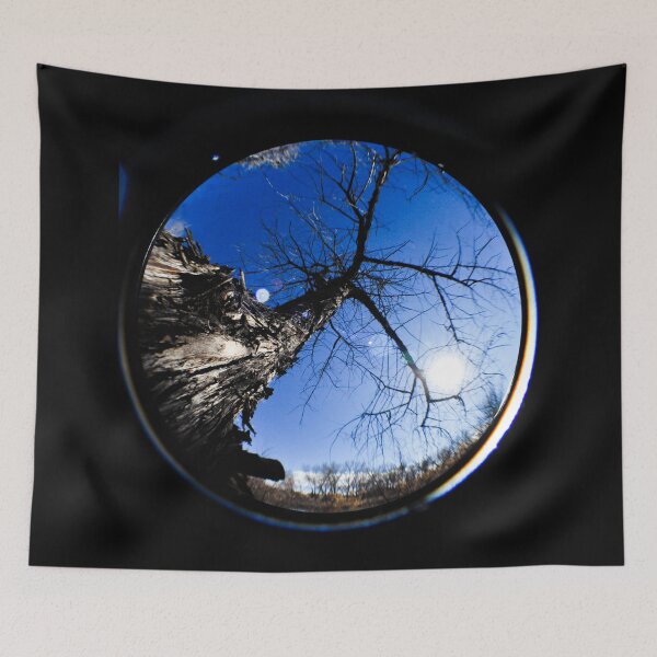 Item preview, Tall Tree Through A Fisheye Lens designed and sold by MissJades.
