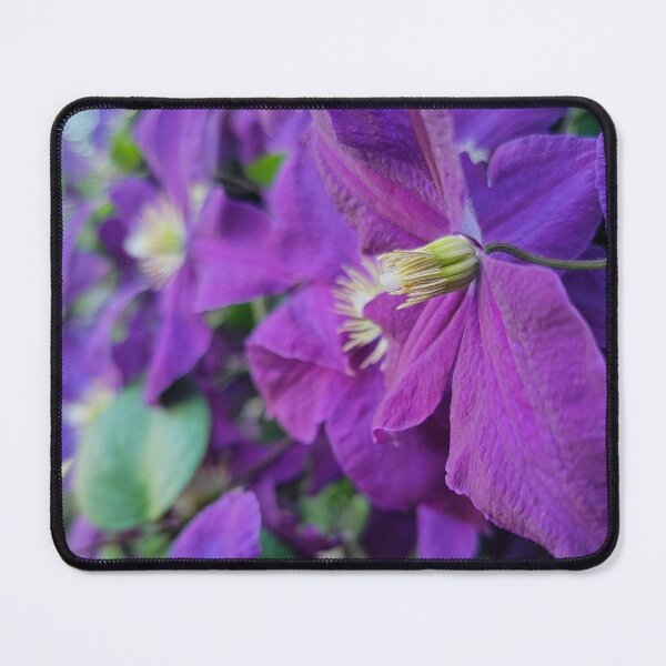 Item preview, Happy Jack Purple Clematis designed and sold by sinDAKIN2207.