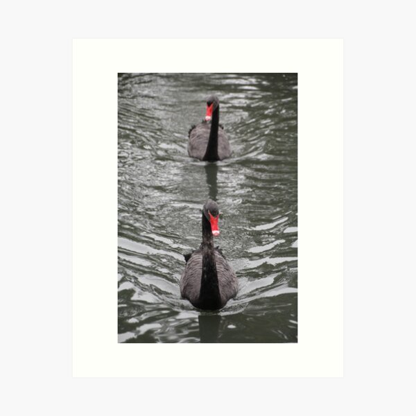 Item preview, Swans in a line designed and sold by Leanne Davis.