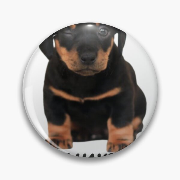 Item preview, So sweet cute dog im hungry designed and sold by fibre30.