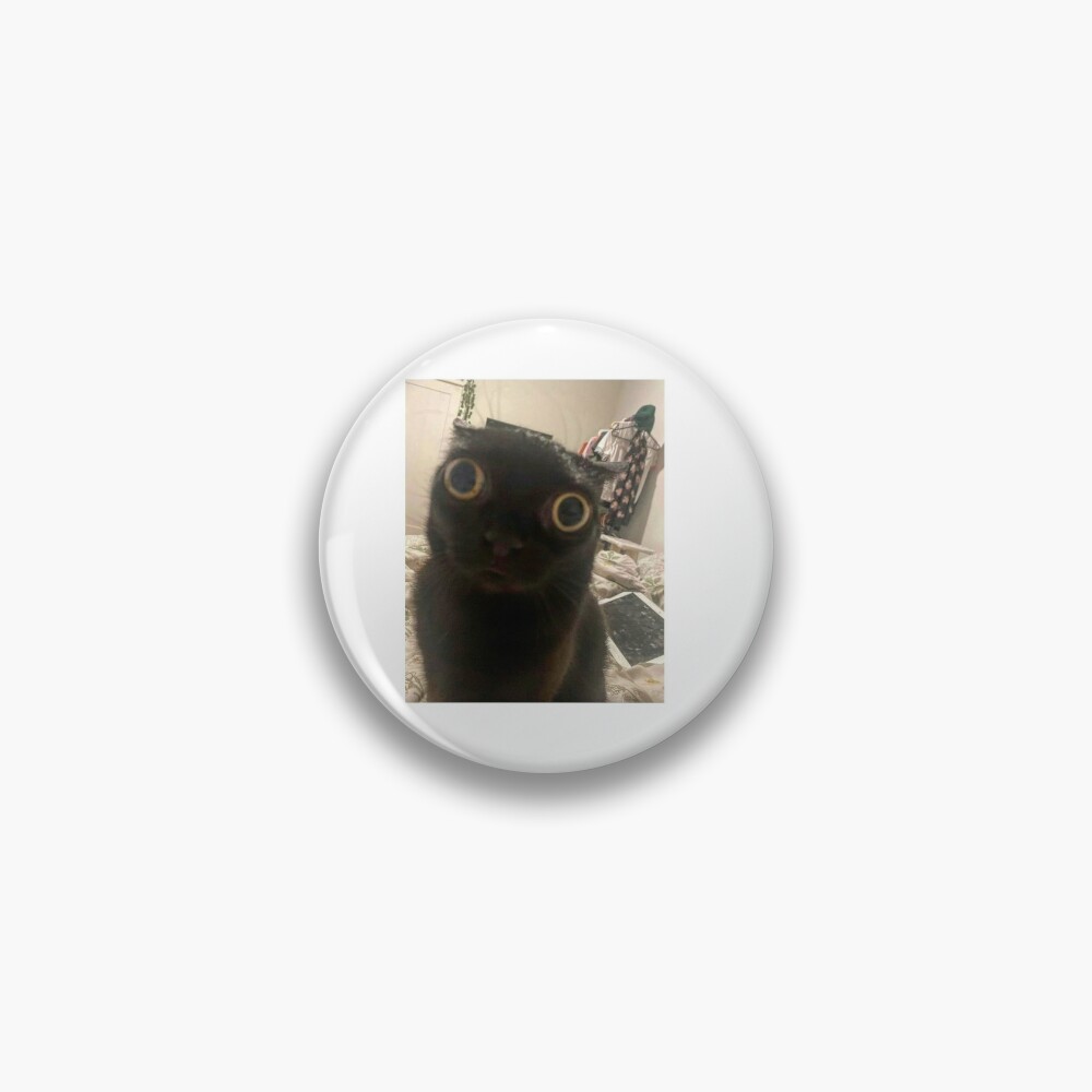 Funny wide eyed black cat Magnet for Sale by FourthHokage