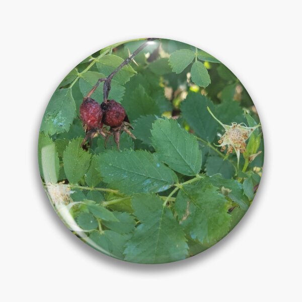 Item preview, Dried Berries designed and sold by Djjin66.