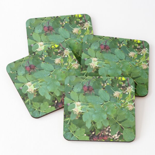 Item preview, Dried Berries designed and sold by Djjin66.