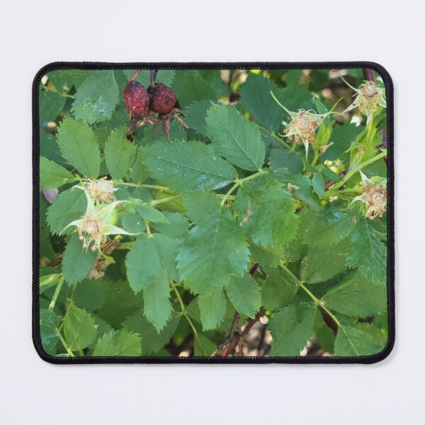 Item preview, Dried Berries designed and sold by Djjin66.