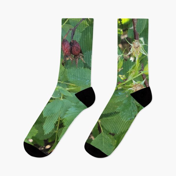 Item preview, Dried Berries designed and sold by Djjin66.