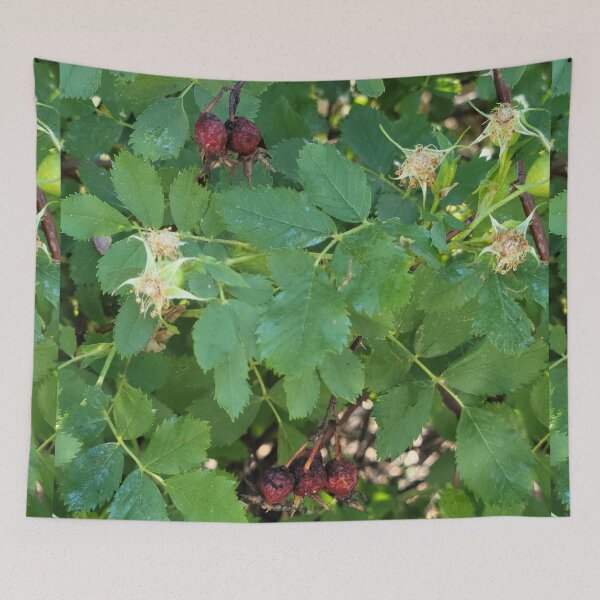 Item preview, Dried Berries designed and sold by Djjin66.