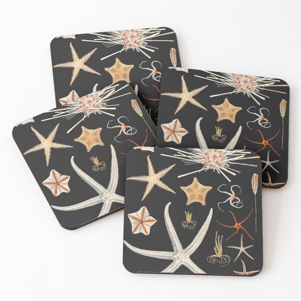 Item preview, Victorian Scientific starfish illustration designed and sold by CubStar62.