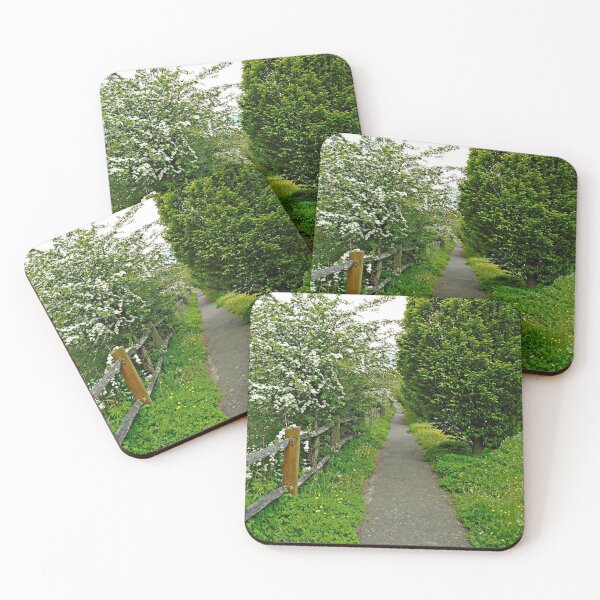 Item preview, The path designed and sold by ColinBoylett.