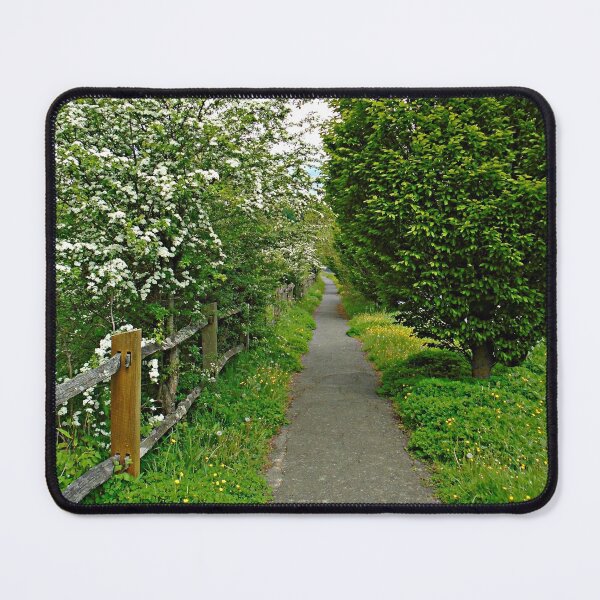 Item preview, The path designed and sold by ColinBoylett.