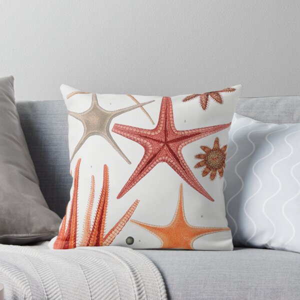 Item preview, Starfish Varieties - victorian scientific illustration designed and sold by CubStar62.