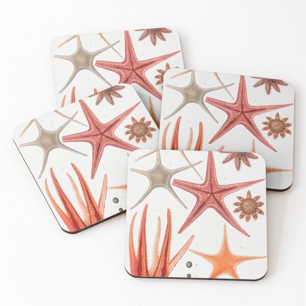 Item preview, Starfish Varieties - victorian scientific illustration designed and sold by CubStar62.