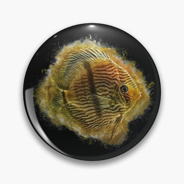 Item preview, Heckel discus - Symphysodon discus designed and sold by AquariumLutter.