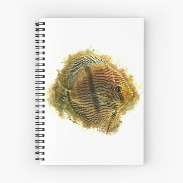 Item preview, Heckel discus - Symphysodon discus designed and sold by AquariumLutter.