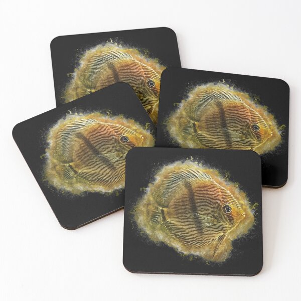 Item preview, Heckel discus - Symphysodon discus designed and sold by AquariumLutter.