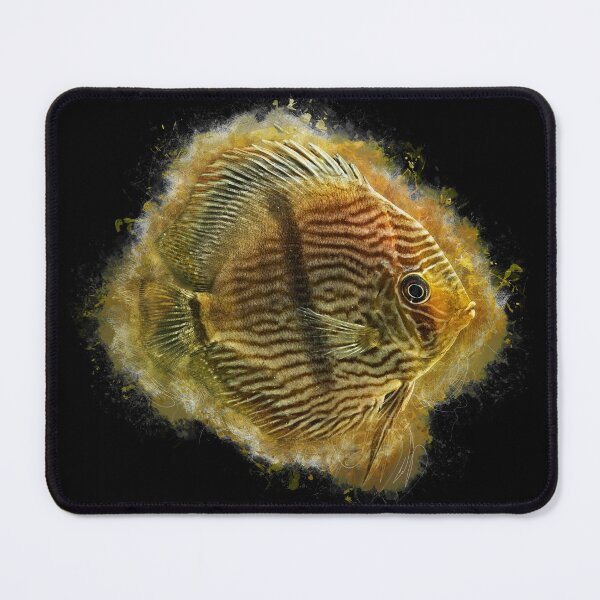 Aperçu de l'œuvre Disque de Heckel - Disque Symphysodon créée et vendue par AquariumLutter.
