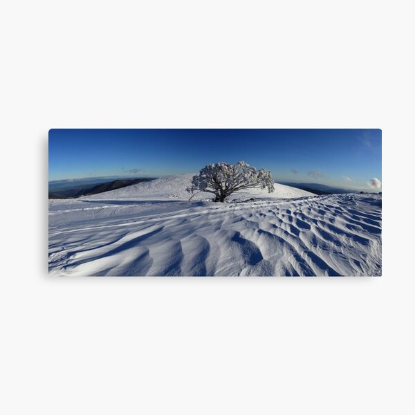 Endurance. Mt Stirling Canvas Print
