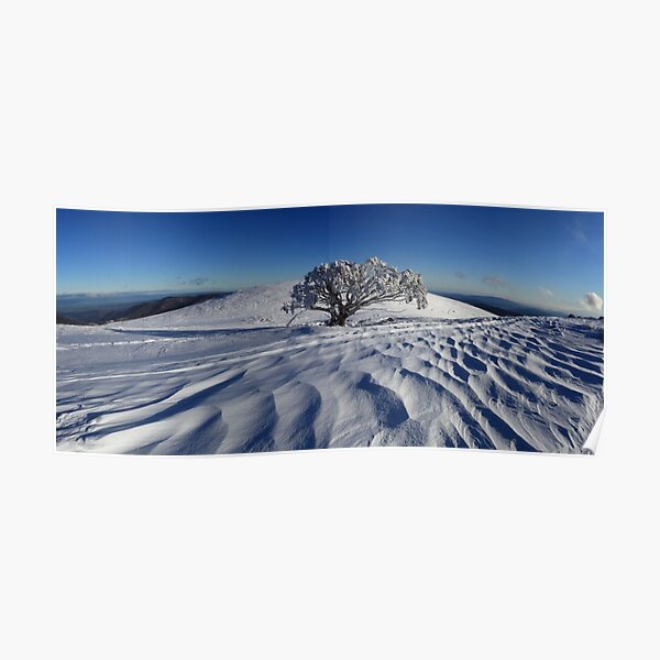 Endurance. Mt Stirling Poster