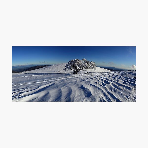 Endurance. Mt Stirling Photographic Print
