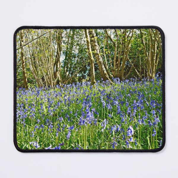 Item preview, The Bluebells designed and sold by ColinBoylett.