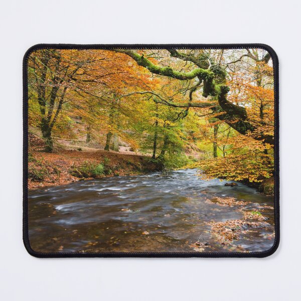 Item preview, River through Autumn Woodland designed and sold by Craig Joiner.