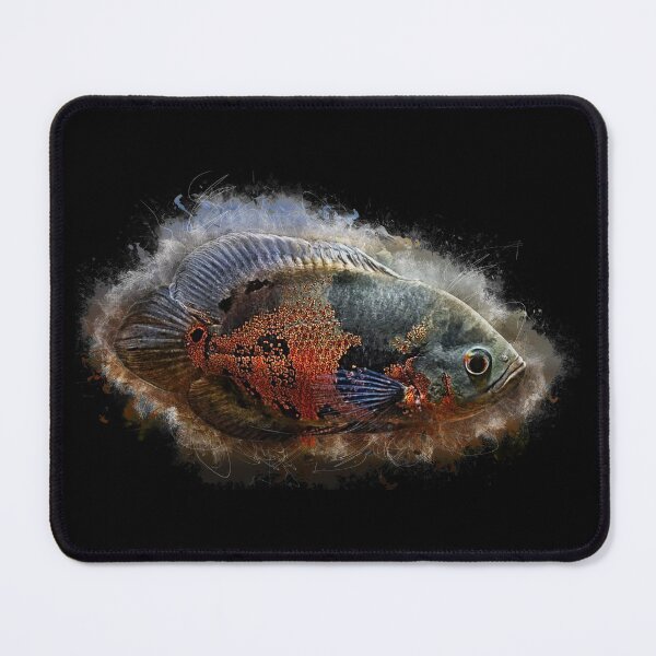 Item preview, Peacock cichlid - Astronotus ocellatus designed and sold by AquariumLutter.
