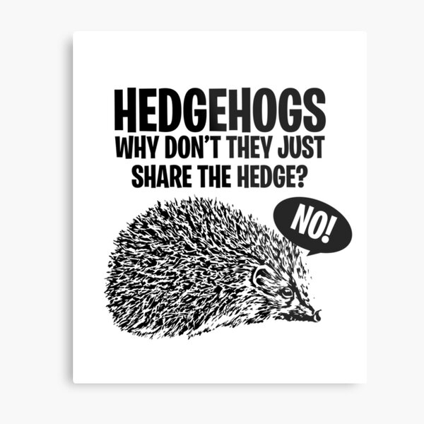 Hedgehogs, Why Don't They Just Share The Hedge? Metal Print