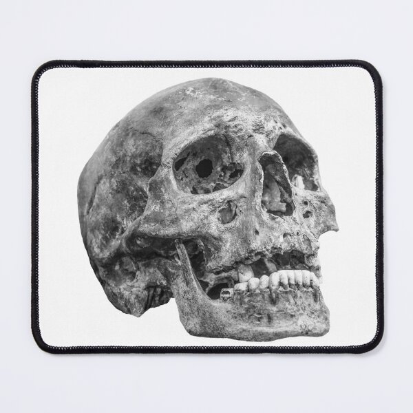 Item preview, Human skull designed and sold by Dalyndigital Photography.