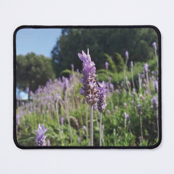 Item preview, Jasmin Field designed and sold by CatsBag.