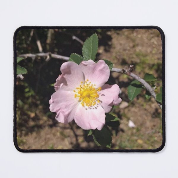 Item preview, Pink White Flower designed and sold by CatsBag.