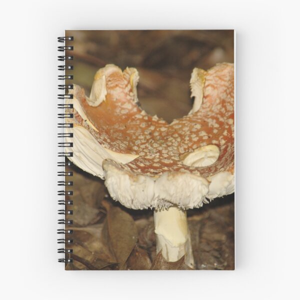 Item preview, Ragged Fungus designed and sold by Adrian Wale.