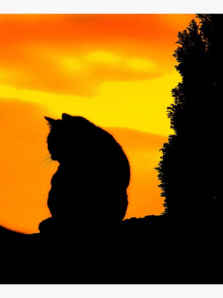 "Life is good a cat makes it better" Tote Bag for Sale by juvelo