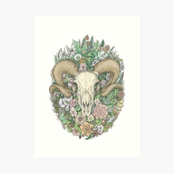 Life's Mystery: Ram Skull. Colored Version Art Print
