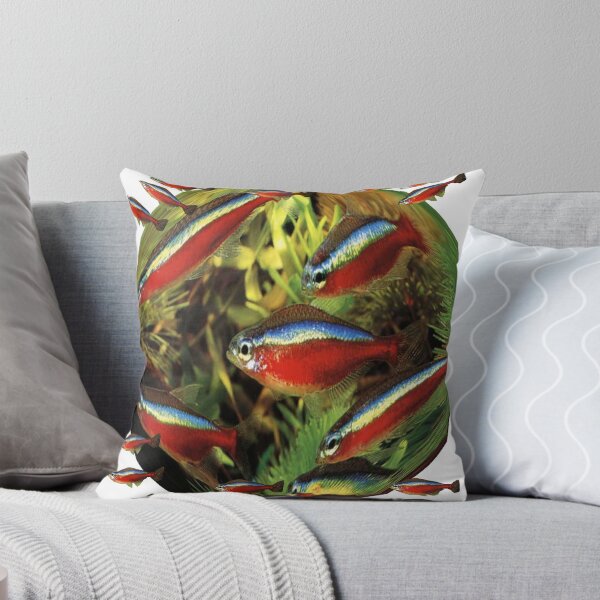 Paracheirodon axelrodi ; Cardinals Throw Pillow