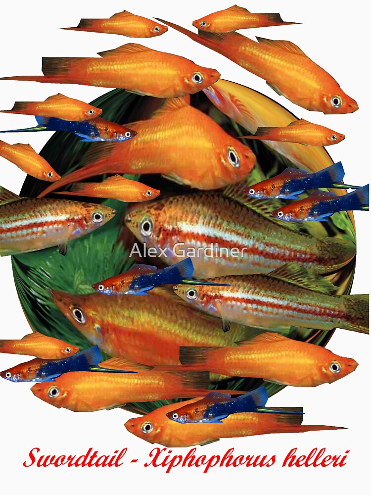 Thumbnail 7 of 7, Essential T-Shirt, Swordtail - Xiphophorus helleri designed and sold by windana1.