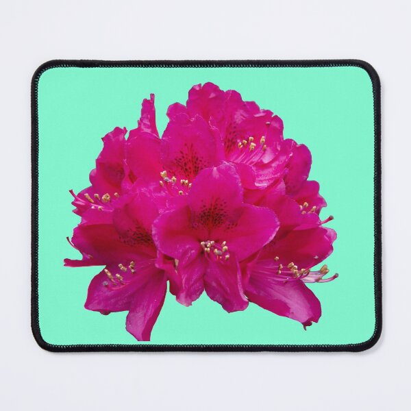 Item preview, Rhododendron on an aqua menthe background designed and sold by Alternative Perspectives.