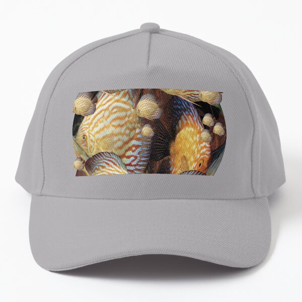 Symphysodon discus. Baseball Cap