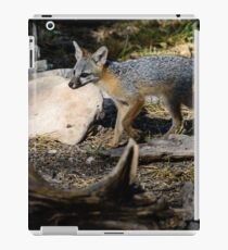 Gray Fox iPad Case/Skin