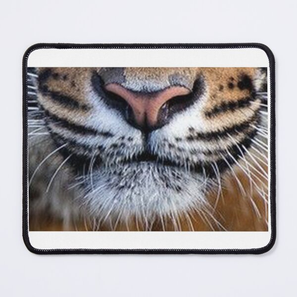 Item preview, tiger teeth designed and sold by LPDesignsUK.