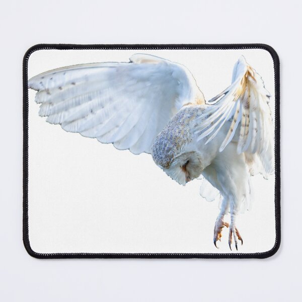 Item preview, Hovering Barn Owl looking for dinner designed and sold by Dalyndigital Photography.