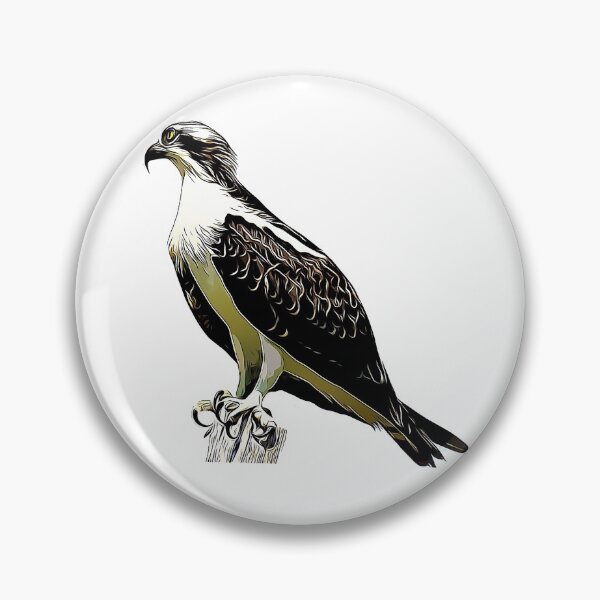 Item preview, Osprey designed and sold by KxNation.