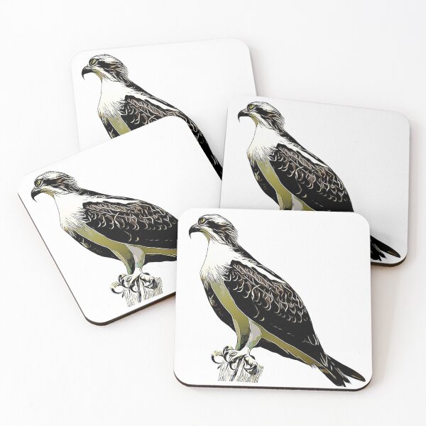 Item preview, Osprey designed and sold by KxNation.