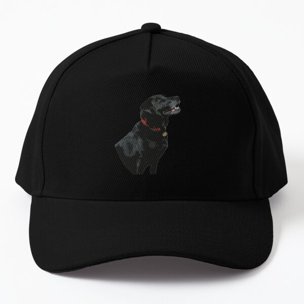 Adoration from a Black Labrador dog Baseball Cap