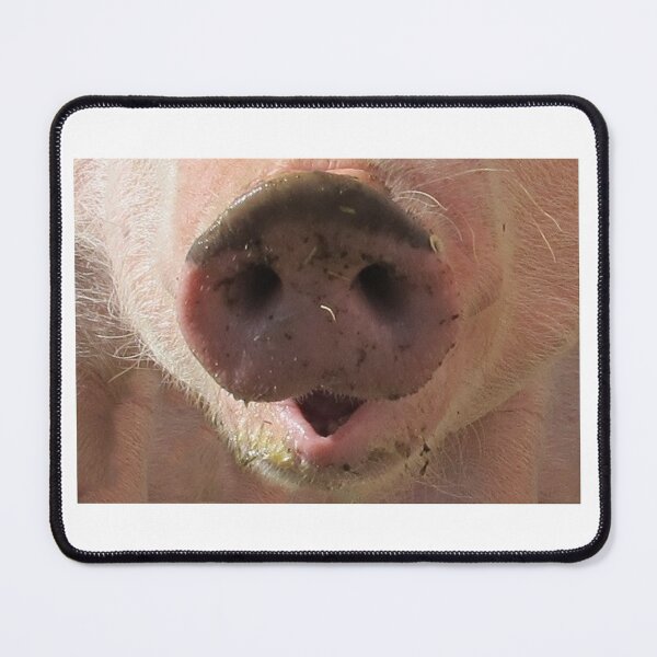 Item preview, pig snout designed and sold by LPDesignsUK.