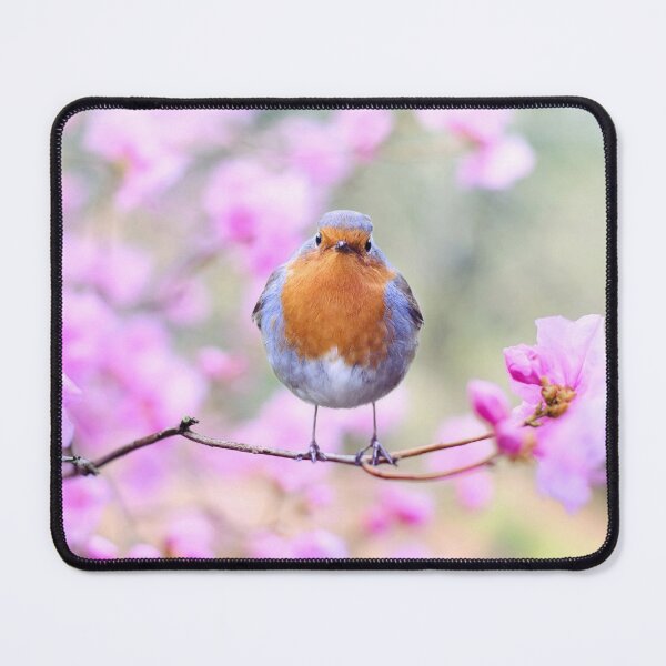 Item preview, Robin designed and sold by fourretout.